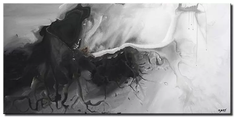 decorative black and white abstract painting